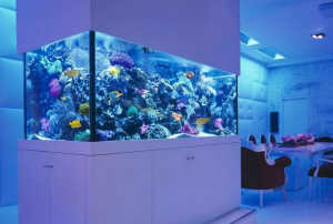 Изготовление аквариумов на заказ "под ключ": создание идеального мира под водой