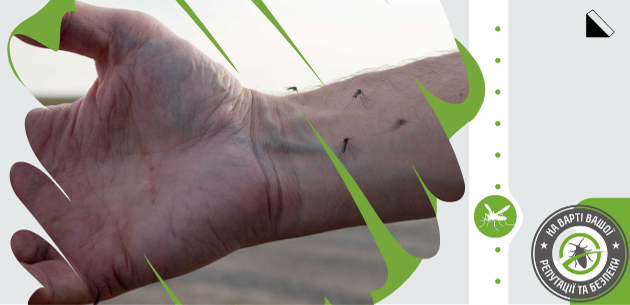 Борьба с комарами на дачном участке: эффективные методы и советы