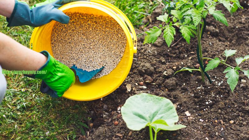 Как правильно выбрать удобрение для вашего сада и огорода