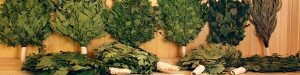 Веники для бани оптом от производителя: как выбрать и где купить?
