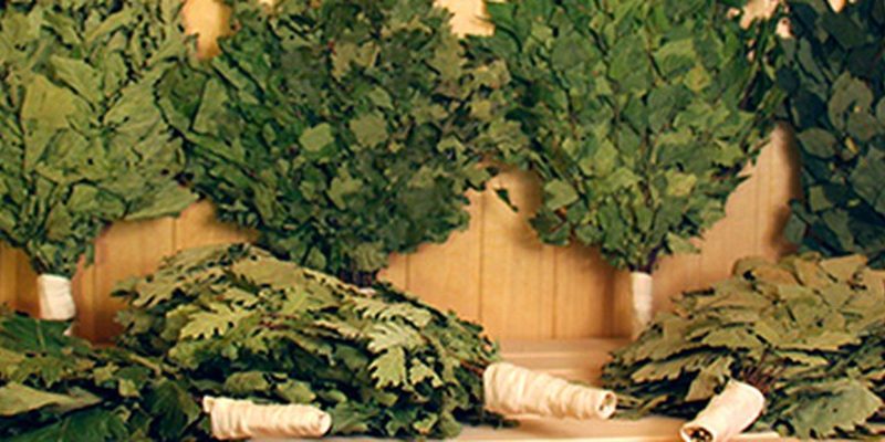 Веники для бани оптом от производителя: как выбрать и где купить?